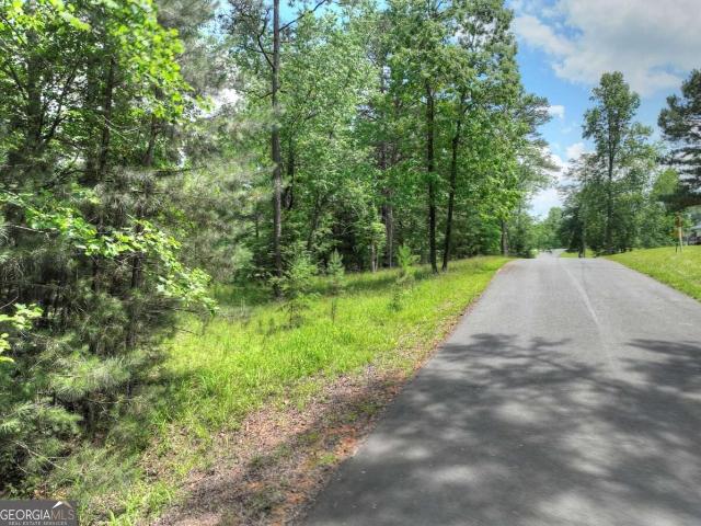 Land for sale in Blairsville, Union County