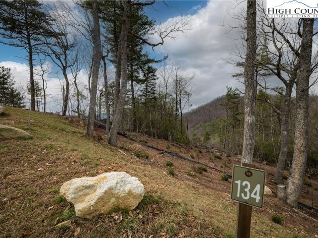 Land for sale in Watauga, North Carolina