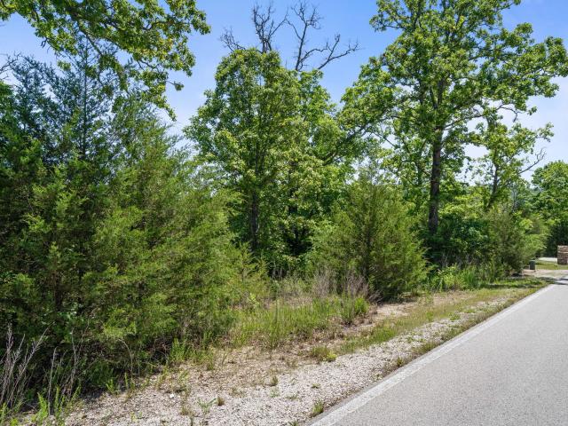 Land for sale in Stone, Missouri