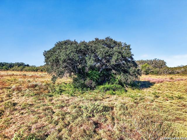 Farm for sale in D'Hanis, Medina County
