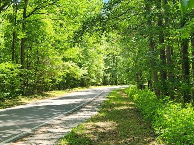 Land for sale in Tennessee