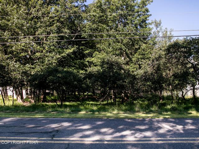 Land for sale in Pine Ridge, Lehman Township
