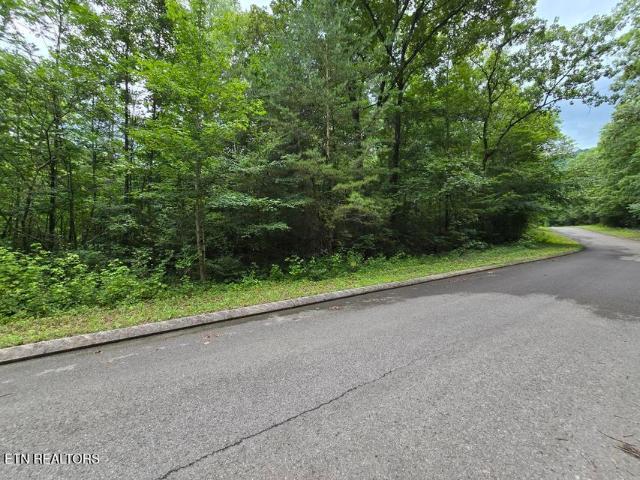 Land for sale in Dunlap, East Tennessee