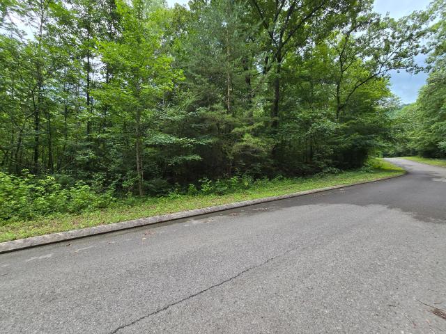 Land for sale in Dunlap, East Tennessee