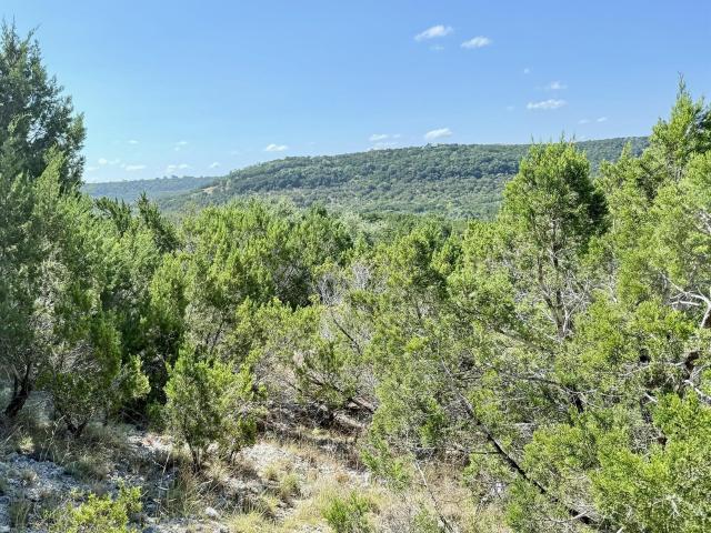 Land for sale in Bertram, Burnet County