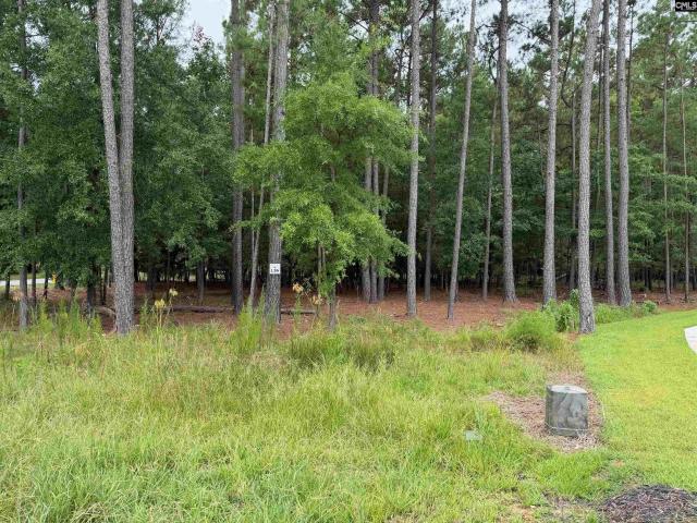 Land for sale in Prosperity, South Carolina