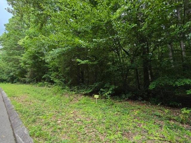 Land for sale in Tennessee