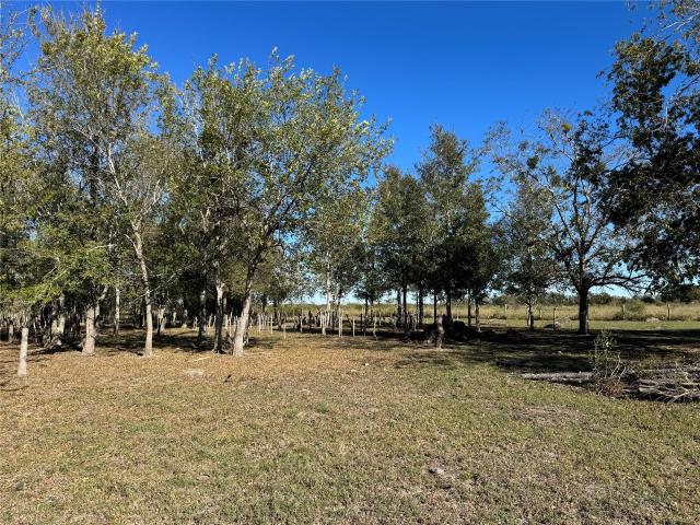 Land for sale in Wallis, Texas
