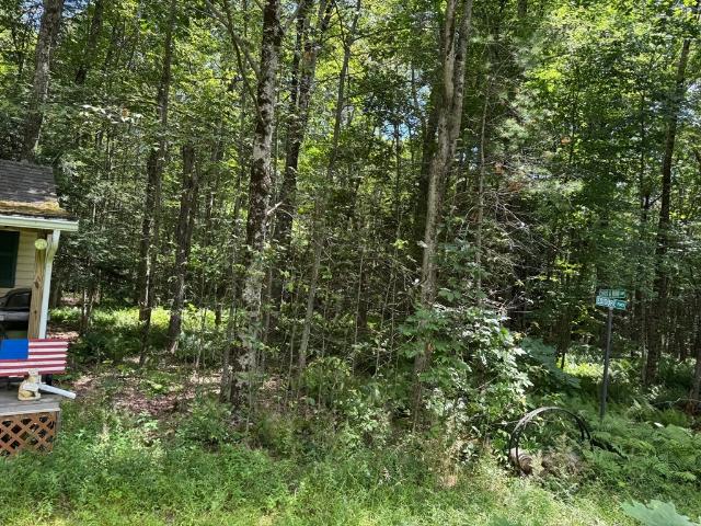 Land for sale in Berkshire, Massachusetts