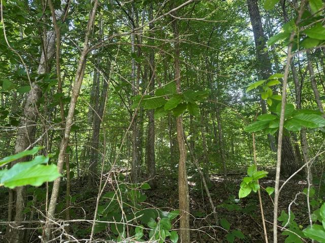 Land for sale in Tennessee