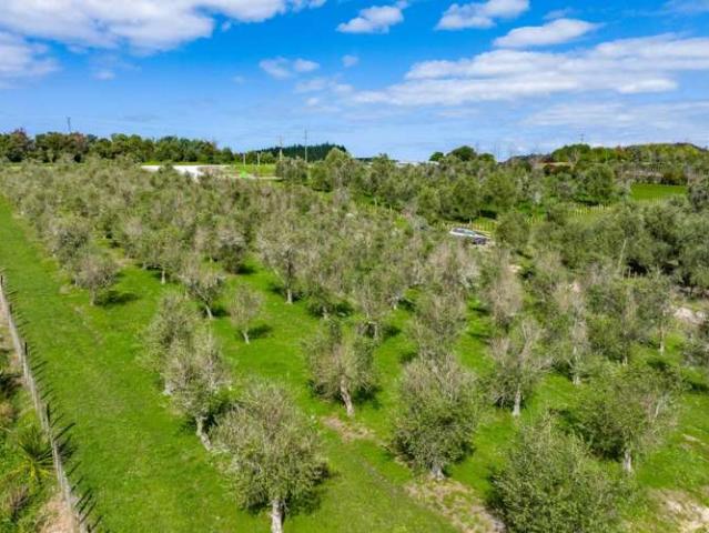Property for sale in Mangawai, Northland