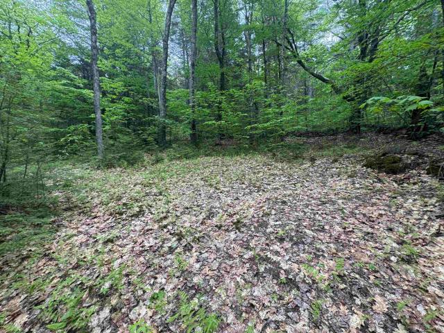 Land for sale in New Hampshire