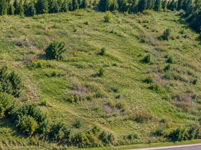 Land for sale in Bloomfield, Nelson County
