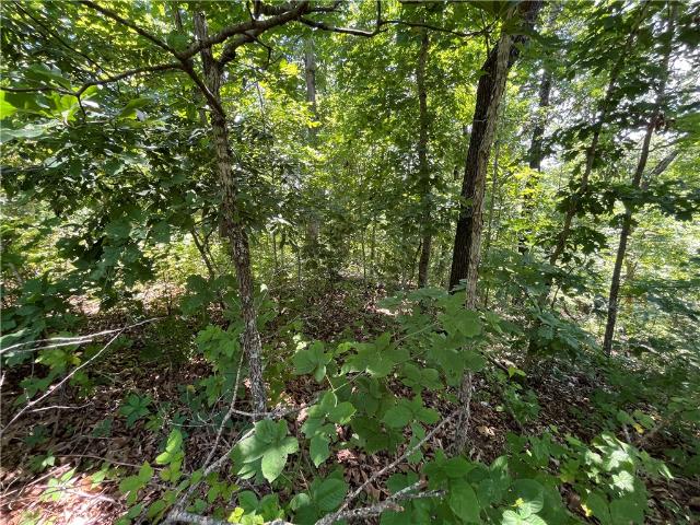 Land for sale in Ark