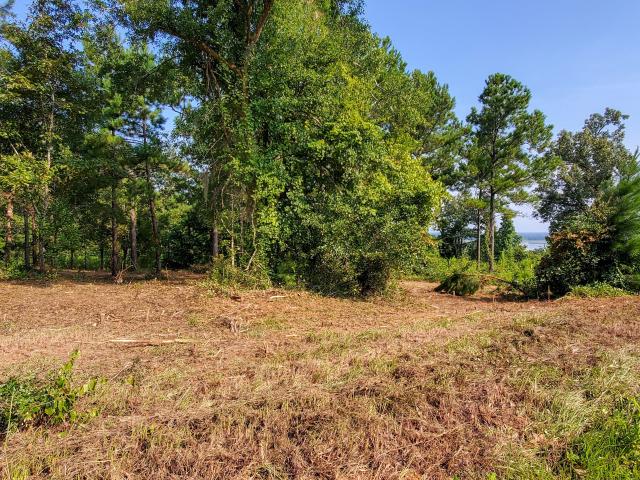 Land for sale in Bainbridge, Georgia