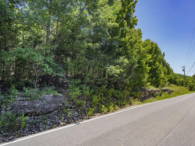 Land for sale in Stone, Missouri