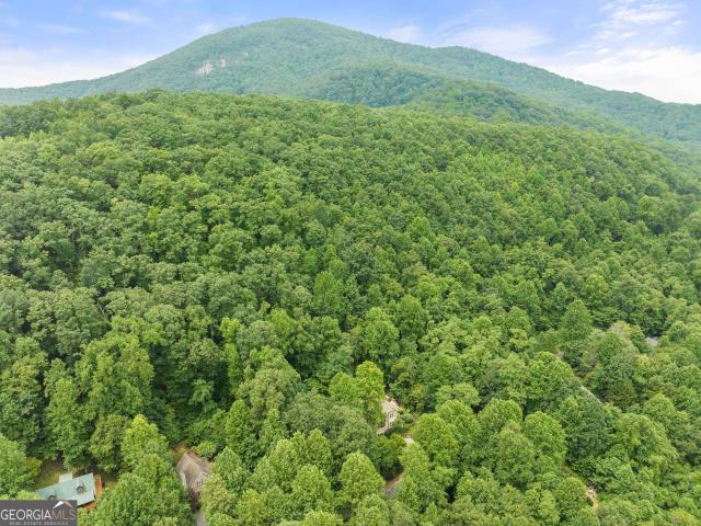 Land for sale in White County, Georgia
