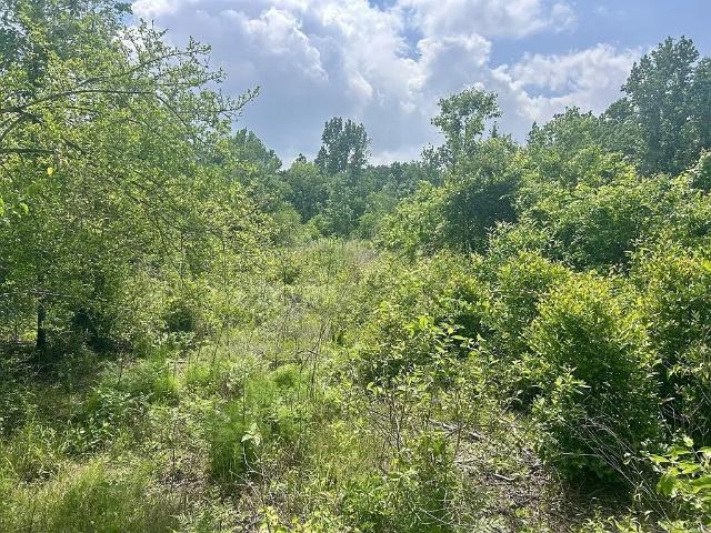 Land for sale in Garrison, Texas