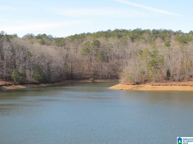 Land for sale in Wedowee, Randolph County