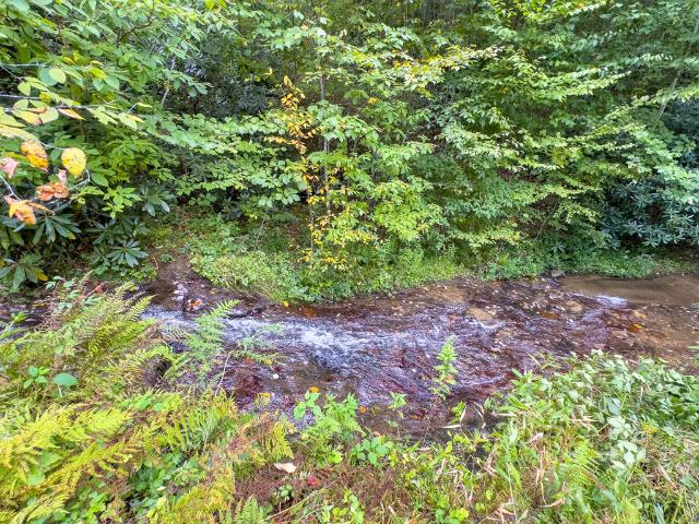 Land for sale in Virginia