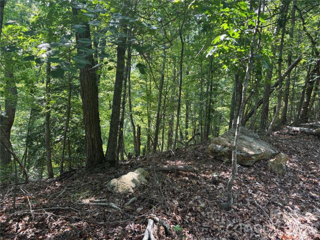 Land for sale in Rutherford, North Carolina