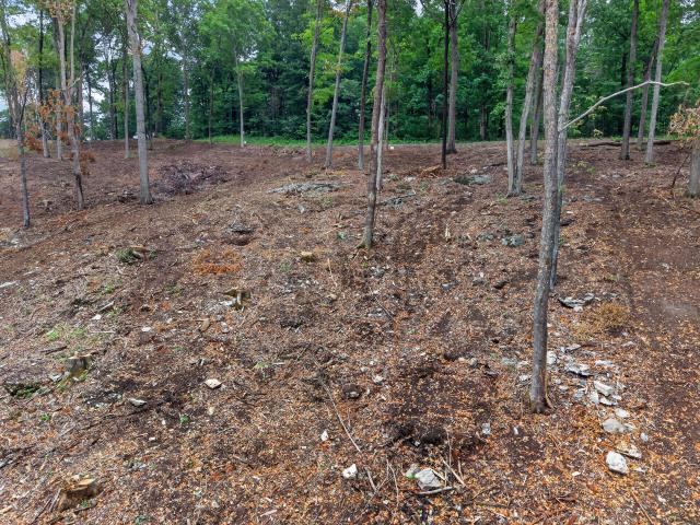 Land for sale in Eddyville, Kentucky