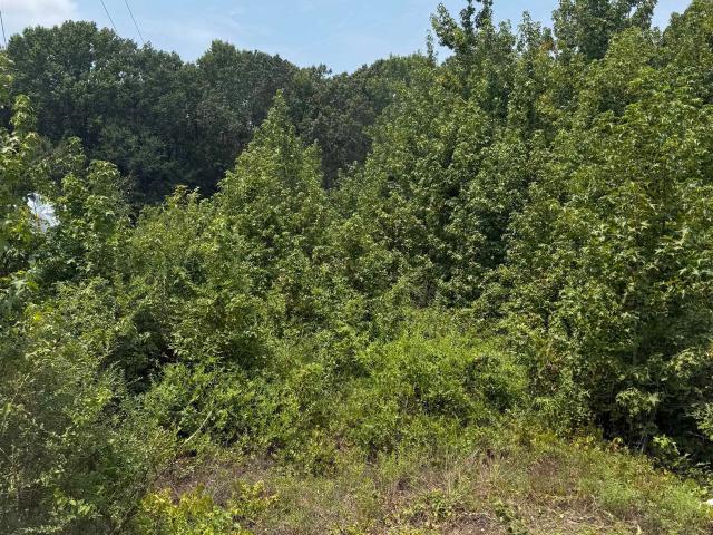 Land for sale in Ark