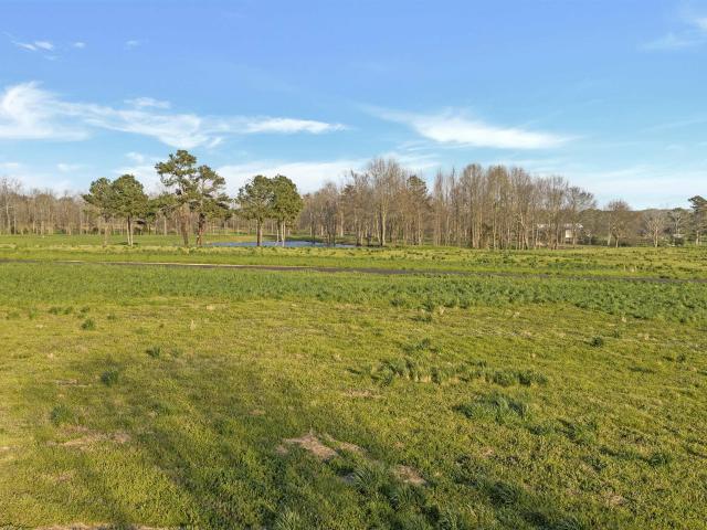 Land for sale in Rainsville, Alabama
