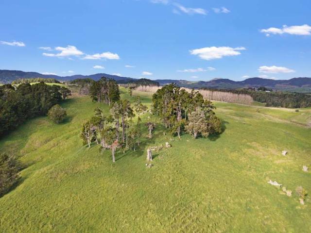 Property for sale in Maungaturoto, Northland