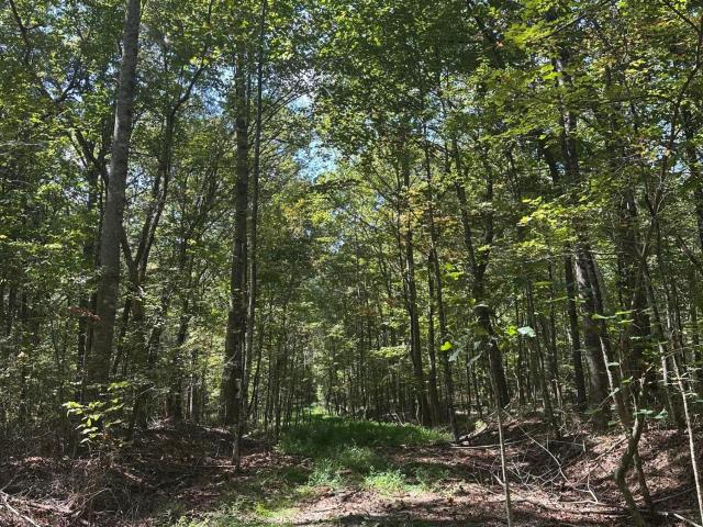 Land for sale in Tennessee