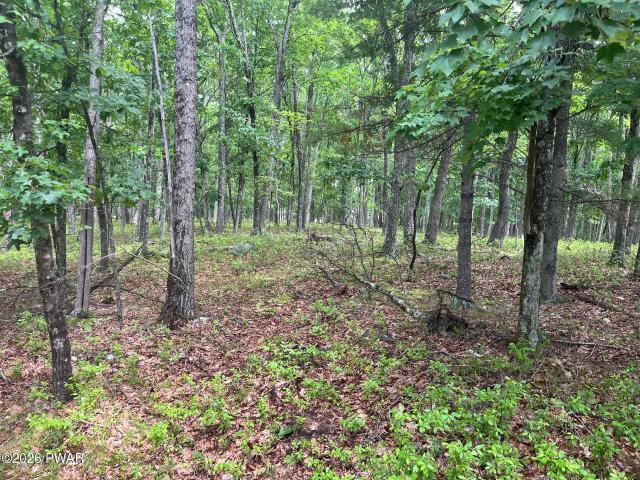 Land for sale in Beach Lake, Pennsylvania