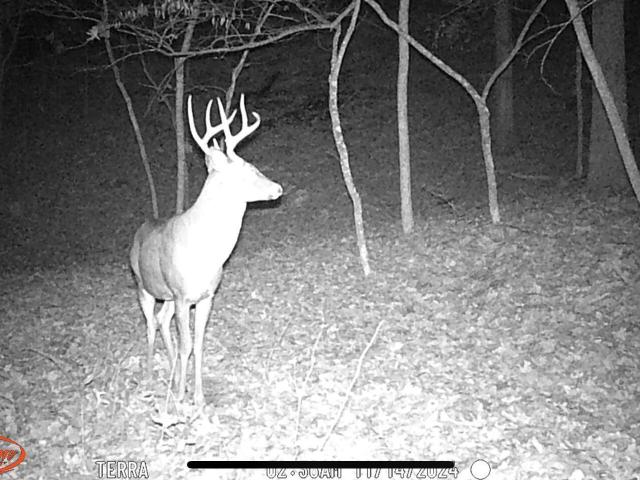 Land for sale in Missouri