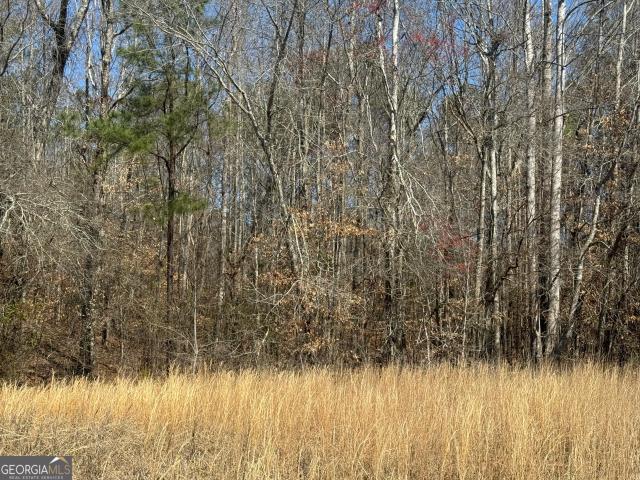 Land for sale in Roanoke, Alabama