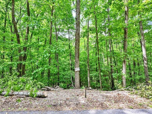 Land for sale in Falkville, Alabama