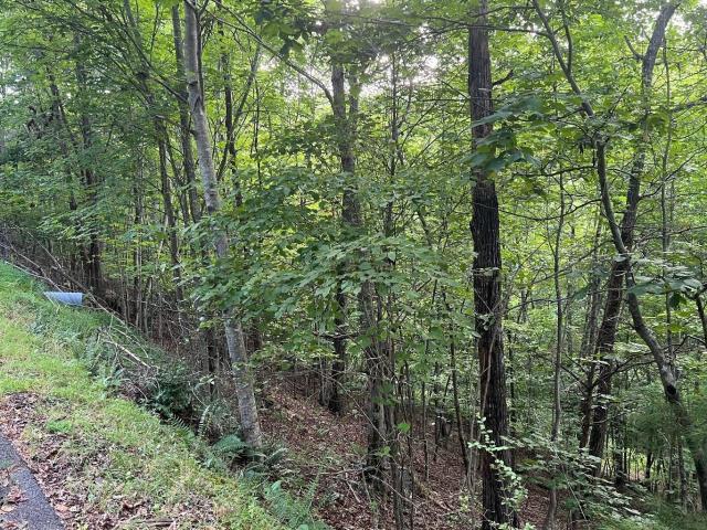 Land for sale in Brasstown, North Carolina
