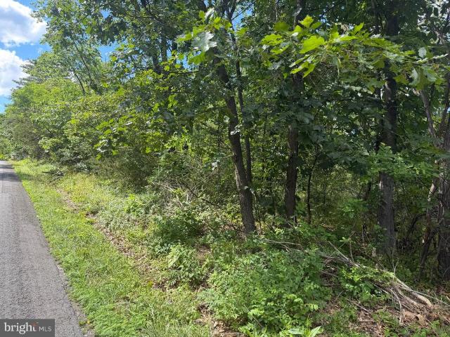 Land for sale in Virginia