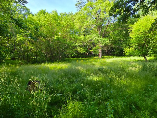 Land for sale in Monee, Will County