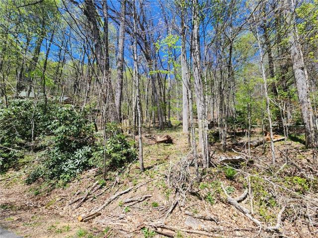 Land for sale in Watauga, North Carolina