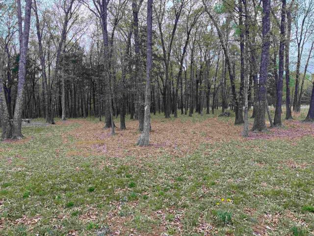 Land for sale in Ark