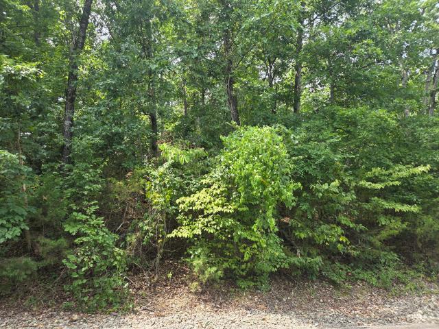Land for sale in Stone, Missouri