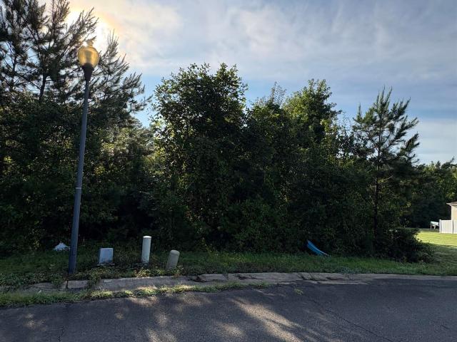 Land for sale in Ark