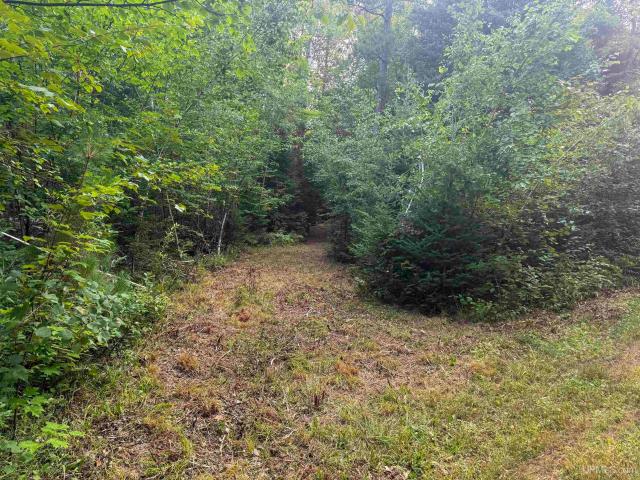 Land for sale in Michigan
