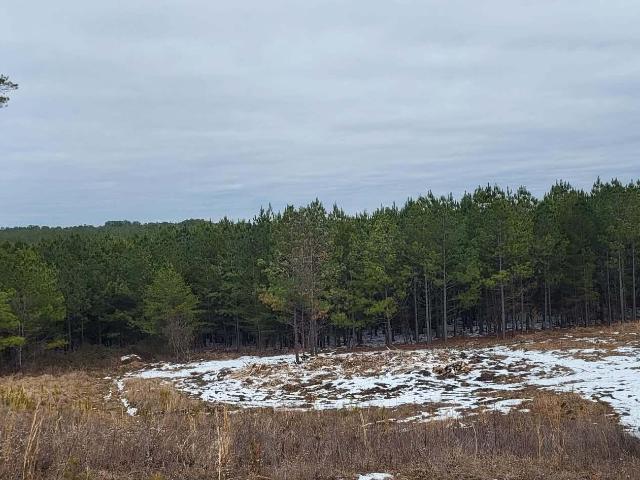 Land for sale in Tennessee