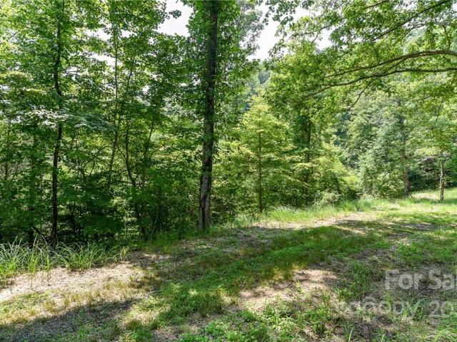 Land for sale in Marshall, North Carolina