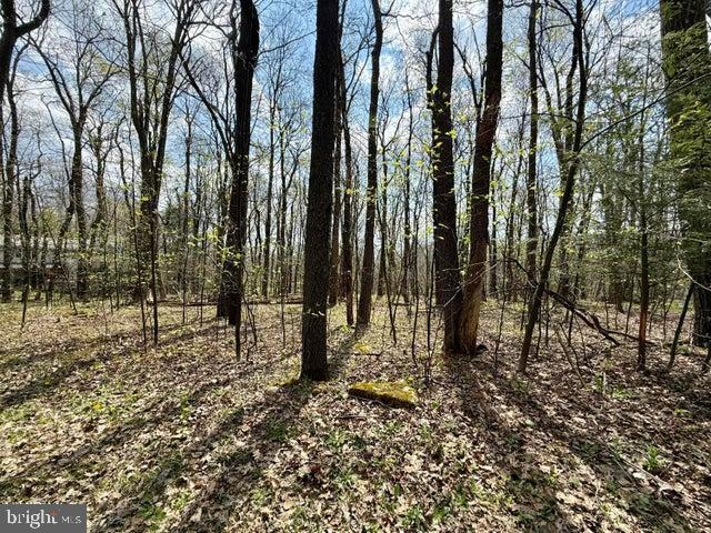 Land for sale in Blair, Pennsylvania