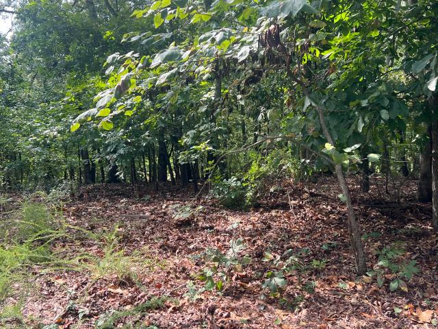 Land for sale in Kentucky
