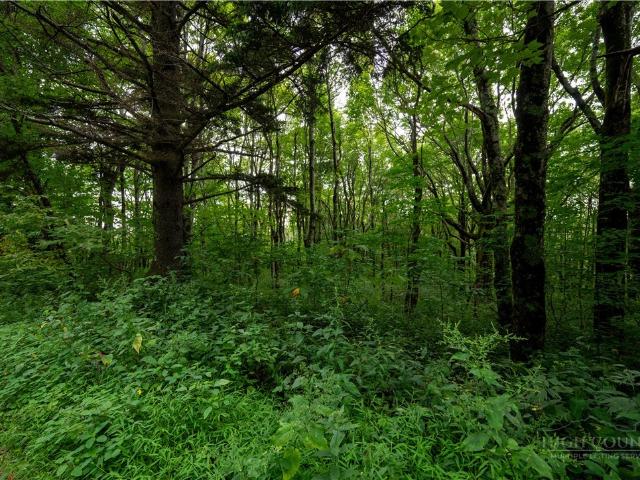 Land for sale in Appletree Ridge, Blowing Rock