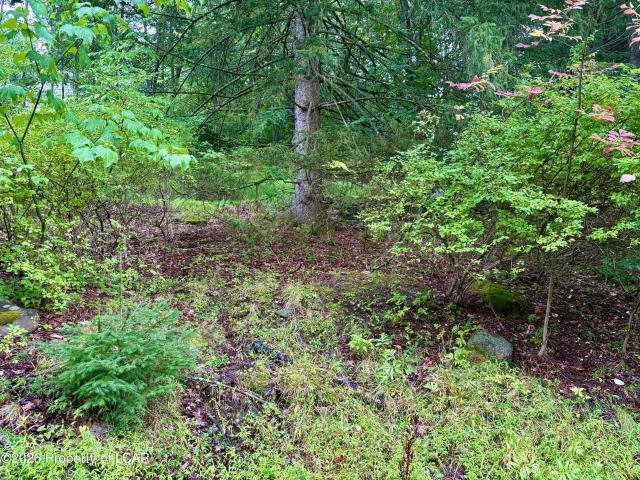 House for sale in Harveys Lake, Pennsylvania