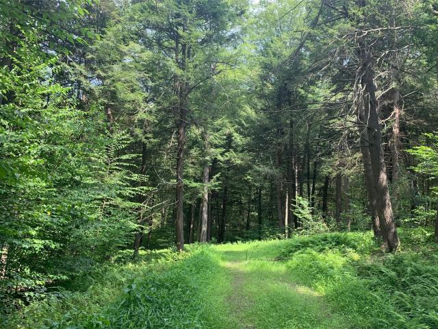 Land for sale in Bethel, New York