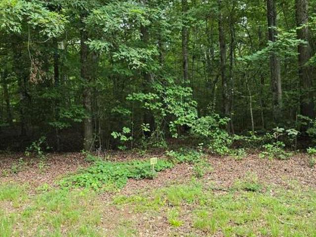 Land for sale in Tennessee